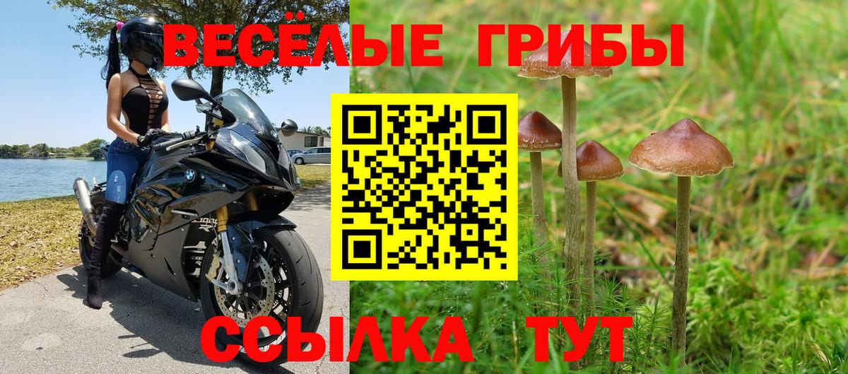 Псилоцибиновые грибы прущие грибы Алексин