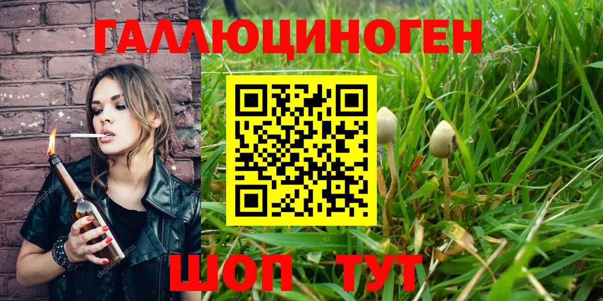 что такое   Вход с VPN  Алексин  Псилоцибиновые грибы мицелий 